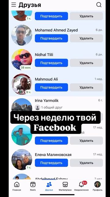 Жизнь в Египте с детьми