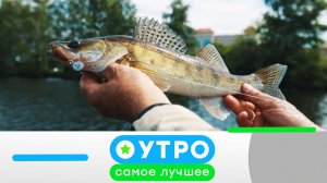 «Утро. Самое лучшее»: 24 июня 2026 года