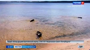 Вести Санкт-Петербург. Выпуск 08.35 от 24.06.2026