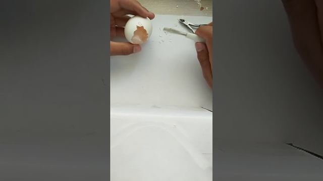 Стримчик смотреть онлайн