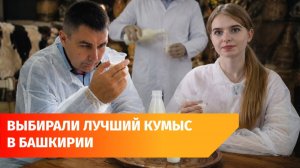 В Уфе выберут лучший в Башкирии кумыс