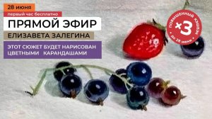 Летние ягоды. Рисуем цветными карандашами с художником Елизаветой Залегиной  в прямом эфире.