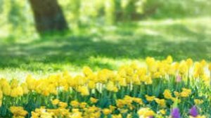 🔴ПОДКАСТ ОБЗОР НА КАНАЛ ЖЕНЩИНА ПО ИМЕНИ РИММА