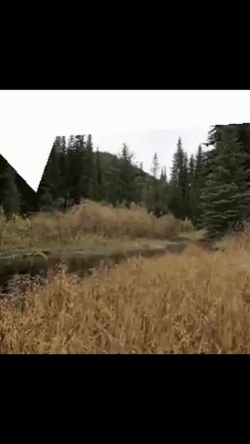 У меня есть телеграм канал