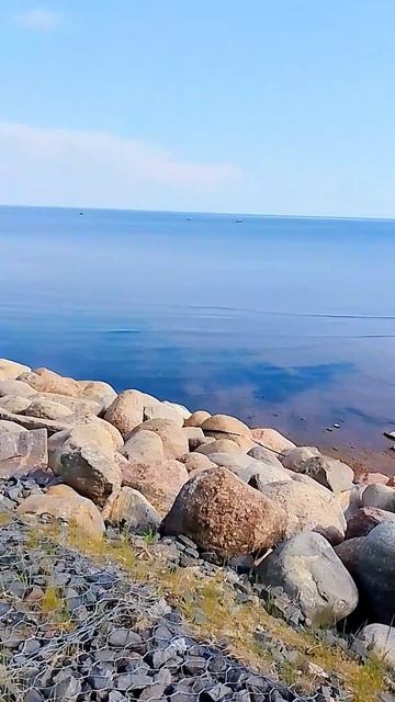 Территория Яхт-Клуба «Терийоки» 4*  в Зеленогорске под Санкт-Петербургом.
