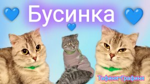 😻Бусинка😻