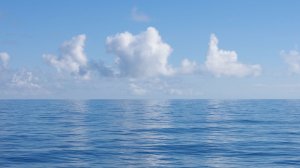Океан. Сергей Чекалин. Ocean. Sergei Chekalin.
