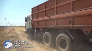 Уборка зерна.mp4-