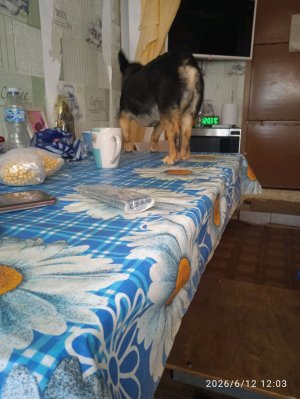Деди сейчас