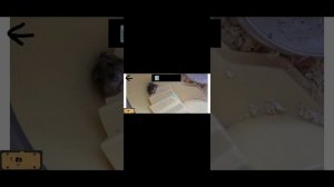 новое обновление в хомяк Ган!? 1.8.3
