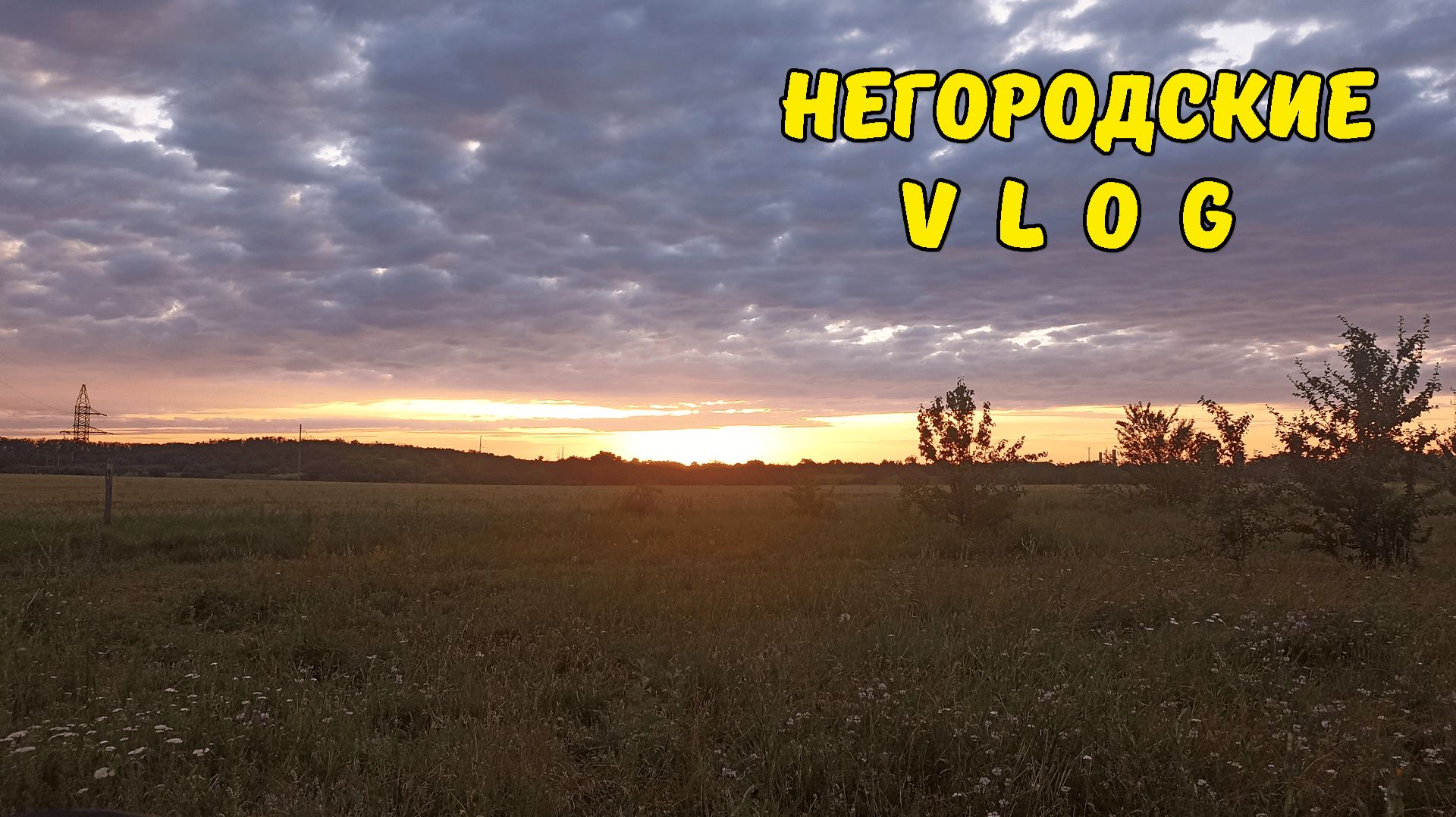 На ночь глядя, за земляникой! Чудо-каша для всех. 18.06.26