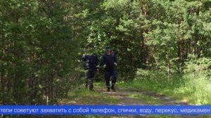 Как не заблудиться в лесу, рассказали первоуральские спасатели