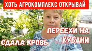 288🏡Сдала кровь/Хоть агрокомплекс открывай/Есть и проблемы/Подготовила кухню себе