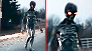 (Most Amazing Elite)Загадочные неземные существа, попавшие на камеру по всему миру