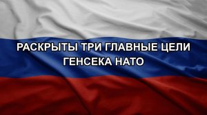 Раскрыты три главные цели генсека НАТО