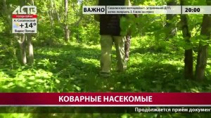 «Наш день»: 24 июня 2026