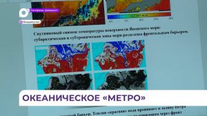 Учёные ДВО РАН обяснили появление теплолюбивых рыб у берегов Владивостока