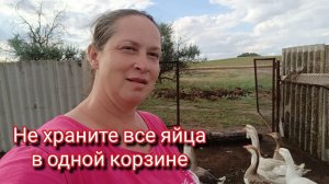 Кое-что задумала💡Дожди заливают ⛈️, но я не унываю 😁