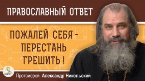 Пожалей себя - перестань грешить !  Протоиерей Александр Никольский