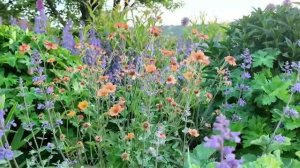 ВОЛШЕБСТВО И РОМАНТИКА ЧАСТНОГО АНГЛИЙСКОГО САДА  GASPER COTTAGE GARDEN В МАЕ