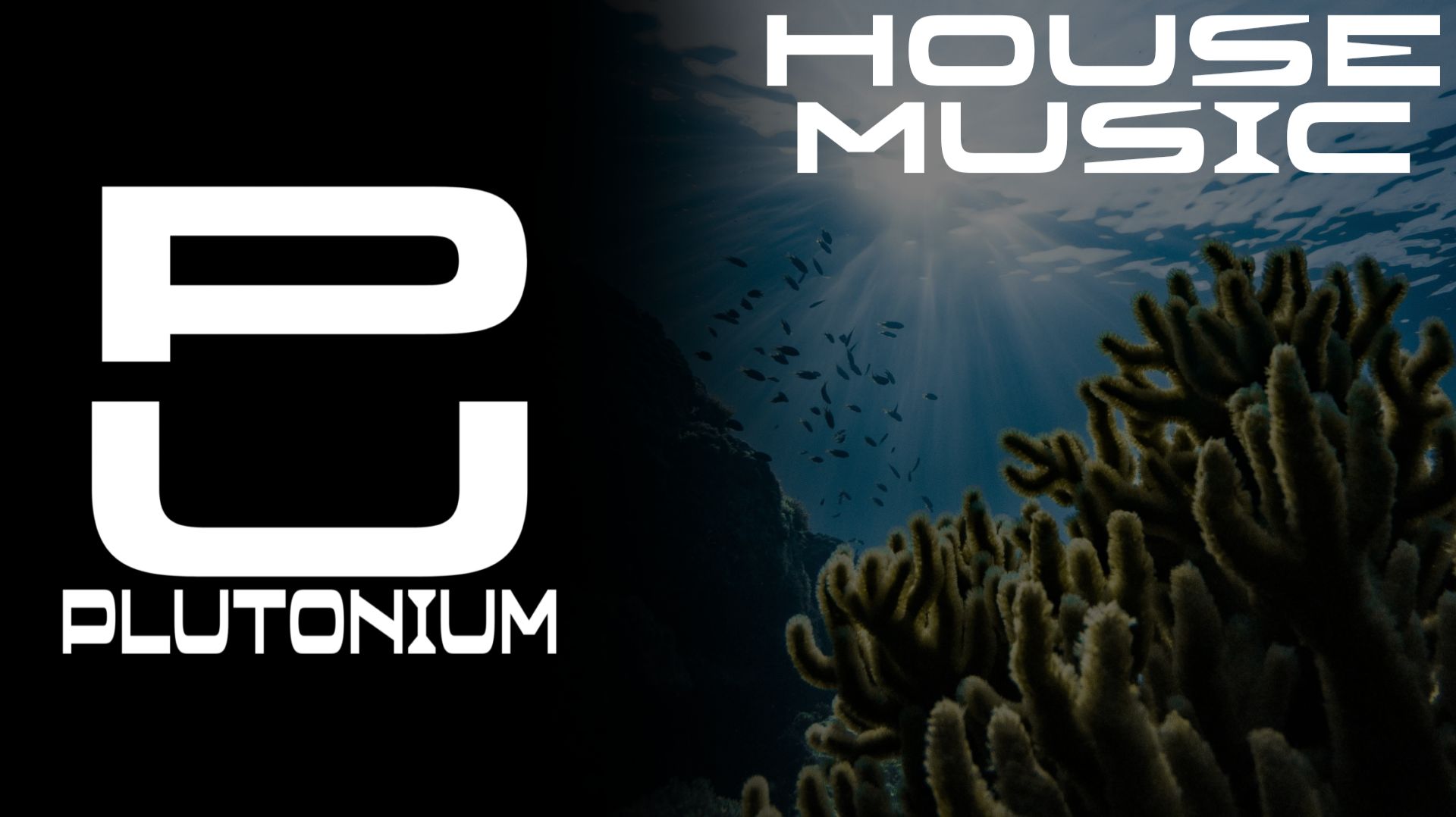 PlutoniuM - House