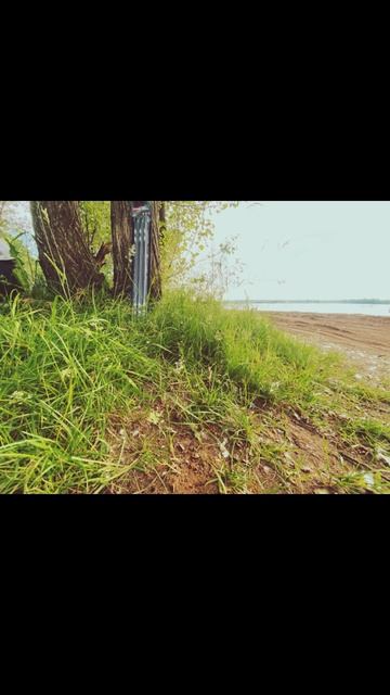 Оставляю впечатления & MatveyIMTI & MetiorrBro