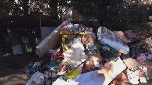 В Сочи черного мусорщика поймали по камерам