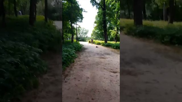 Церковь в честь Тихвинской иконы Божией Матери!