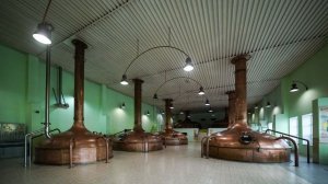 Отечественные бренды в топе: в Москве обсудили развитие российского пивоварения