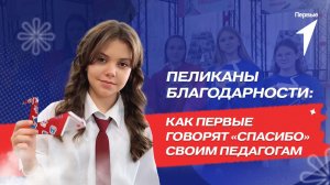 В рамках акции #Благодарю Первые по всей стране складывают бумажных пеликанов в технике оригами