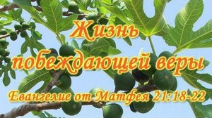 Жизнь побеждающей веры