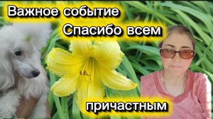 Москва принимай новых жителей Я их отпустила Надеюсь на счастье