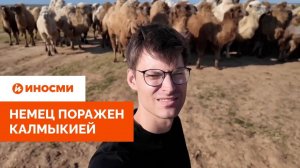«Истинная Россия». Немец поражен Калмыкией