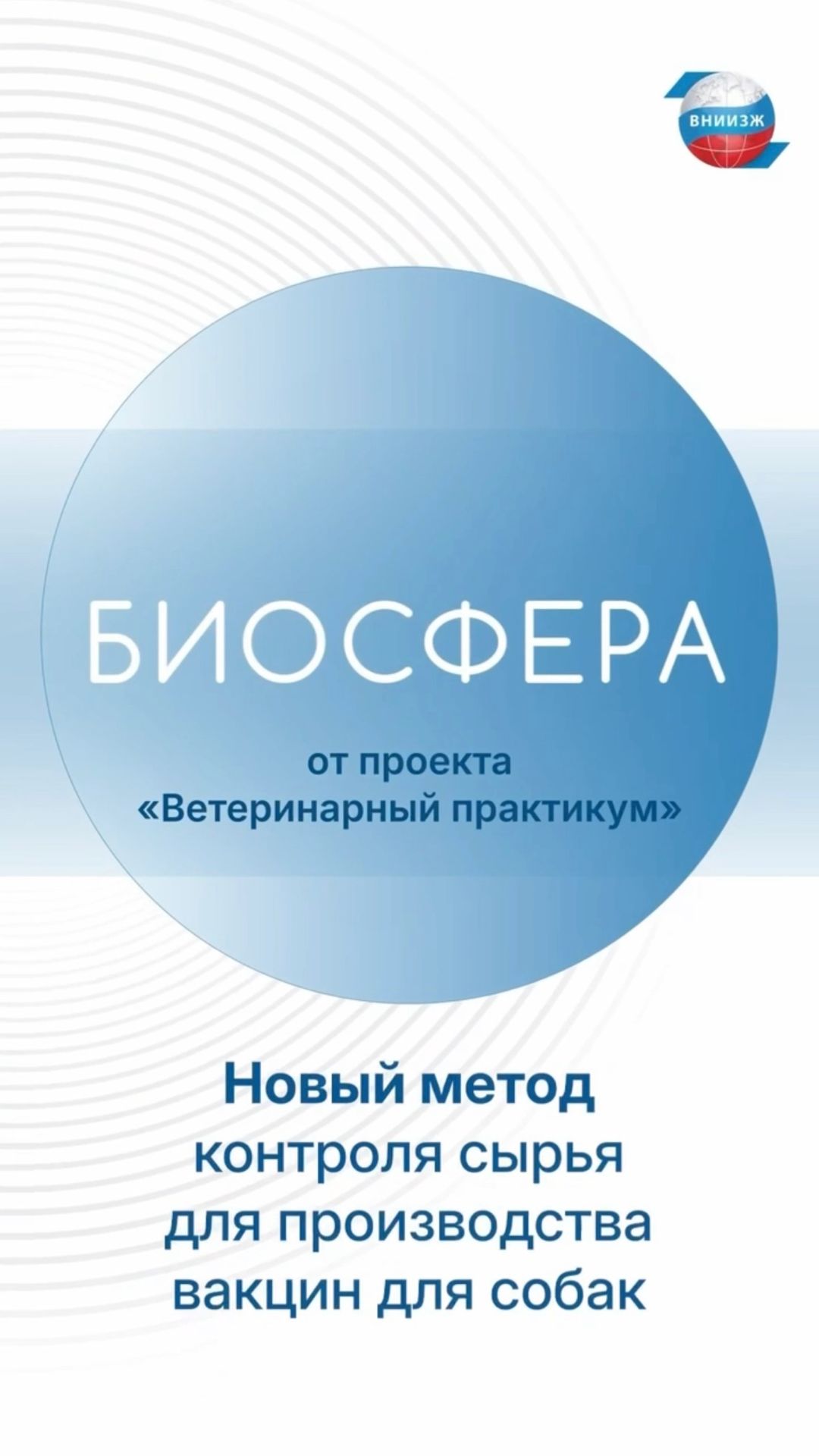 Метод определения титра коронавируса собак разработали ученые ВНИИЗЖ смотреть онлайн