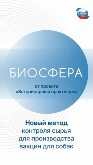 Метод определения титра коронавируса собак разработали ученые ВНИИЗЖ