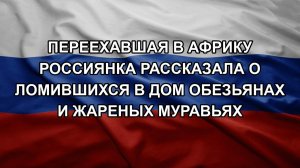 Переехавшая в Африку россиянка рассказала о ломившихся в дом обезьянах и жареных муравьях