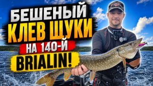 НЕ ЗРЯ ПОЕХАЛ В ПРОЛИВНОЙ ДОЖДЬ! БЕШЕНЫЙ КЛЕВ ЩУКИ НА 140-Й РАЗМЕР