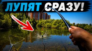 ТАКОГО ЖОРА Я НЕ ЖДАЛ! Нарвался на ЖЁЛТЫХ в кустах и НАЛОВИЛ УЖАС! Рыбалка 2026