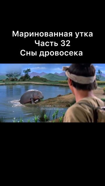 Маринованная утка часть 32. Сны дровосека