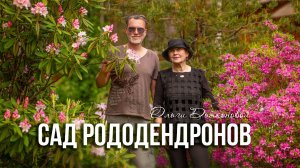 Рододендроновый сад в природном стиле Ольги Дьяконовой.