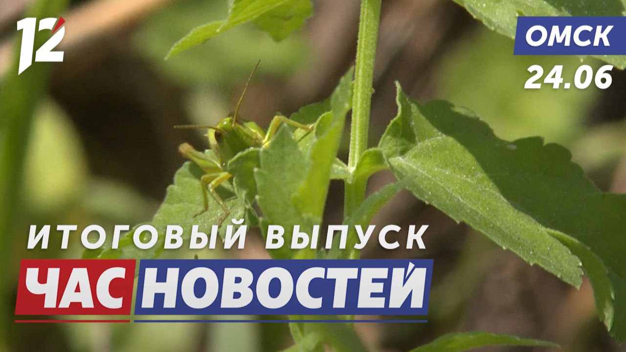 Тысячи вредителей в траве / Пристав вынес бабушку из огня / 12 погибших на воде. Новости Омска смотреть онлайн