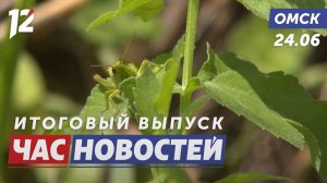 Тысячи вредителей в траве / Пристав вынес бабушку из огня / 12 погибших на воде. Новости Омска