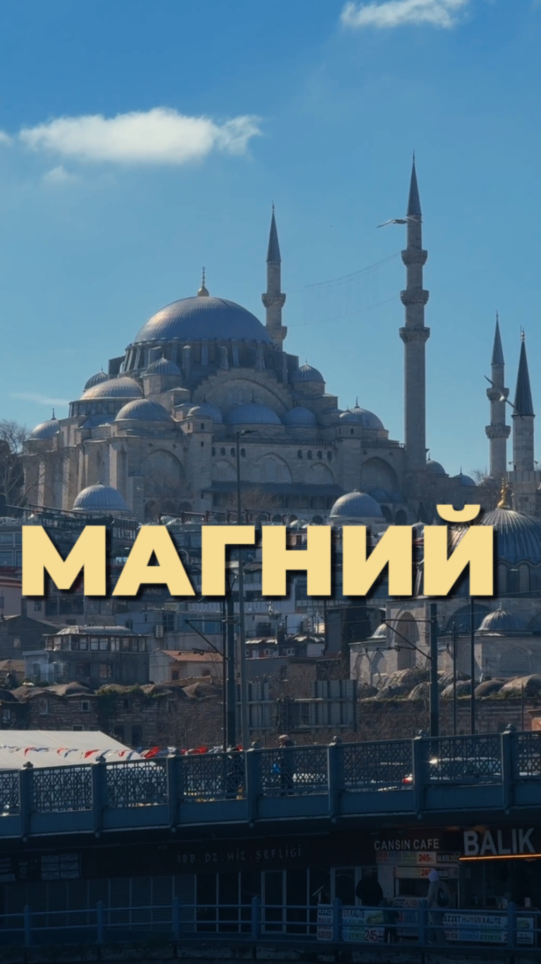 Лучший магний