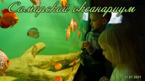 2021.01.31_самарский океанариум_1080