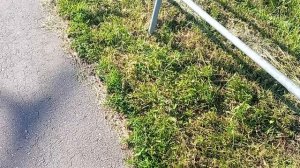 Посмотрев это видео у Вас будет доброе утро, удачный день, и всё будет просто замечательно!
