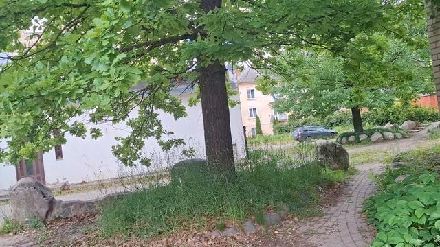 Вот такое вот красивое место у нас, куда ходим за водой🤩🍃💚🌳🌞 смотреть онлайн