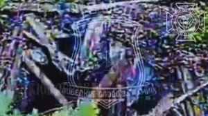 💥Очередной миномёт противника уничтожен в Волчанском районе