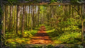 🌲 Аутентичные звуки леса | Расслабляющая прогулка на природе — для сна, медитации и восстановления.