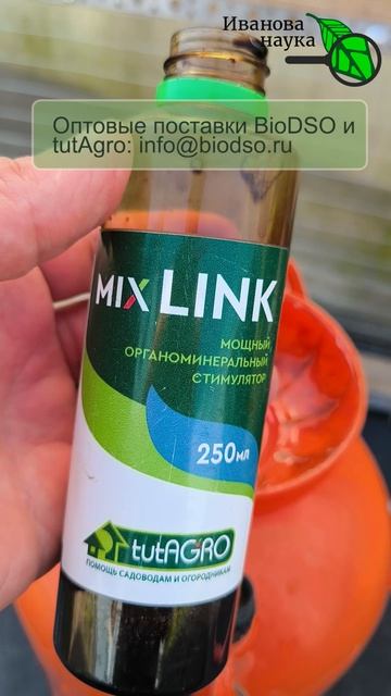 🍅 Урожай спасен! 🌿 Как я заставил каждую завязь томата налиться 💧 Завязи томатов замерли? 🍅