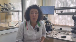 История становления